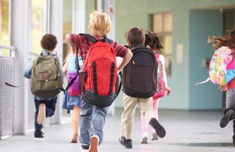 The Best Backpacks, Lunch Bags, and More for School