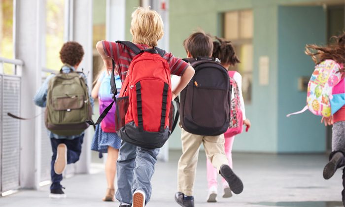 The Best Backpacks, Lunch Bags, and More for School