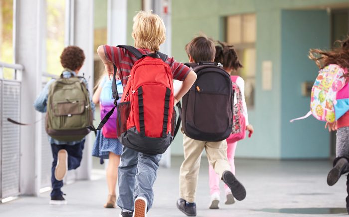 The Best Backpacks, Lunch Bags, and More for School