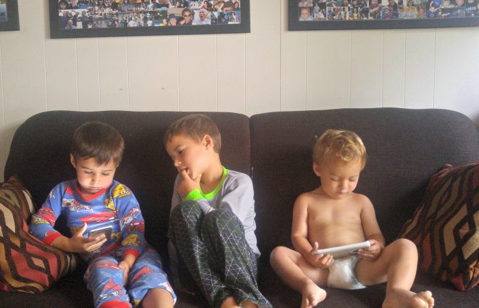 cottage the three boys