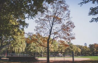 baseball diamond