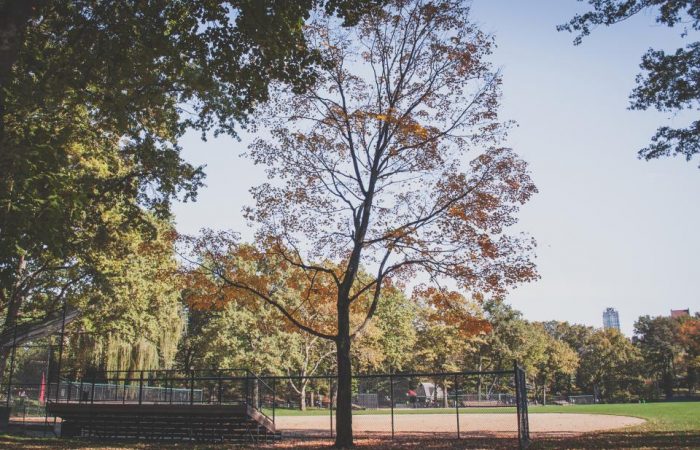 baseball diamond