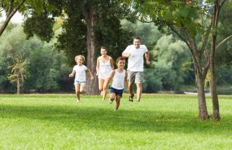 Best Parks and Picnic Spots in Ottawa