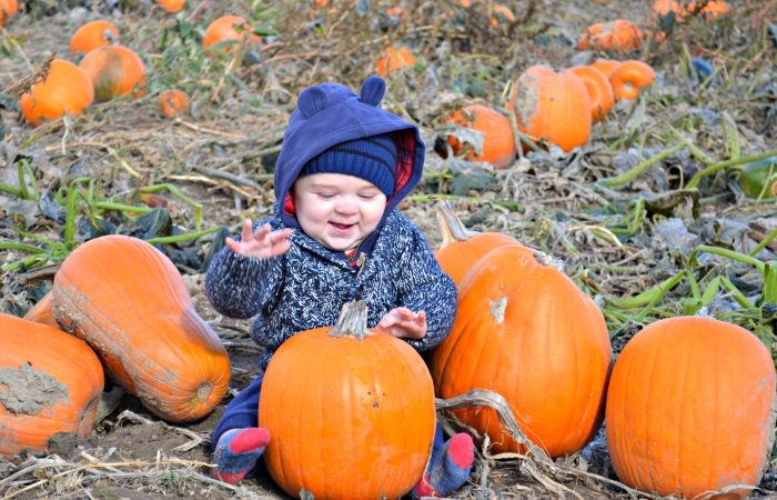 3 Fall-Inspired Birthday Party Ideas