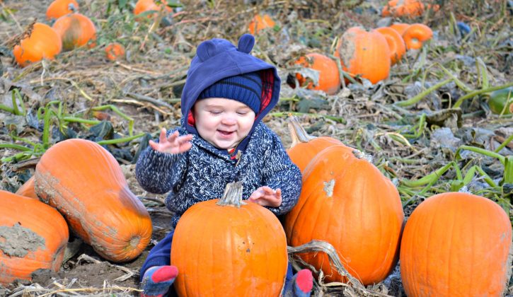 3 Fall-Inspired Birthday Party Ideas