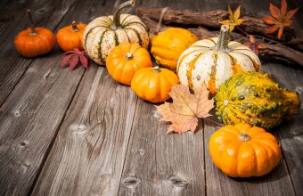 shutterstock_283016633