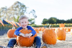 What's on This Thanksgiving Weekend in Toronto