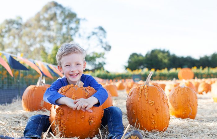 What's on This Thanksgiving Weekend in Toronto