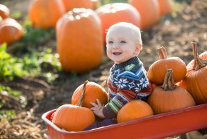 Pumpkin Patches in Vancouver