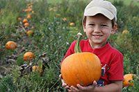 Boywithpumpkininfield