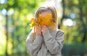 Calgary Guide to November
