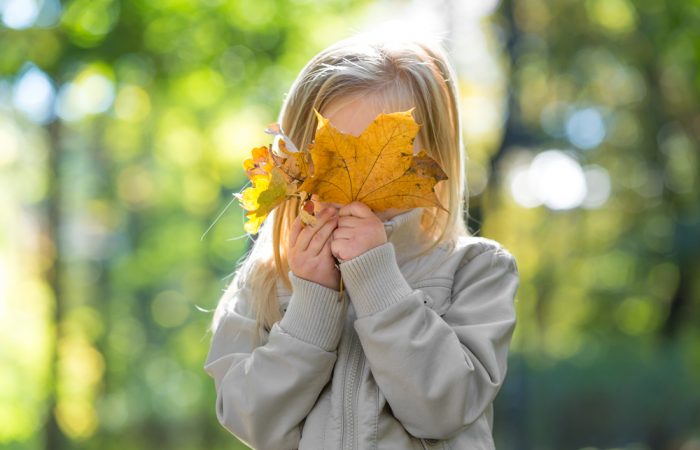 Calgary Guide to November