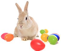 Easter_Bunny_with_eggs