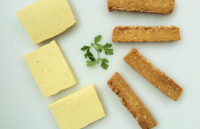 tofu-and-tempeh