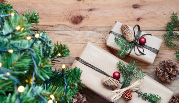 Calgary: The Savvy Guide to December