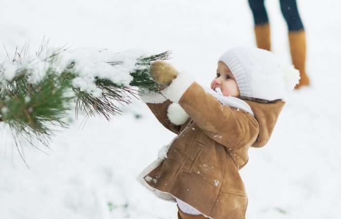The Savvy Guide to January in Ottawa - SavvyMom