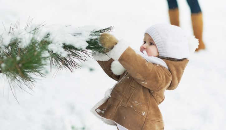 The Savvy Guide to January in Ottawa - SavvyMom