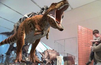 Enter for a Chance to Win a ROM Family Membership