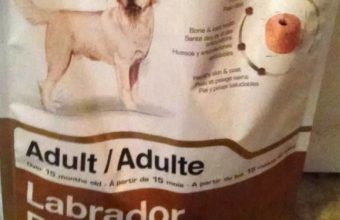 royal-canin-bag-bowl