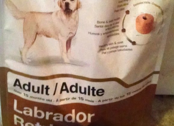 royal-canin-bag-bowl