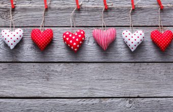 The Savvy Guide to February in Calgary - SavvyMom