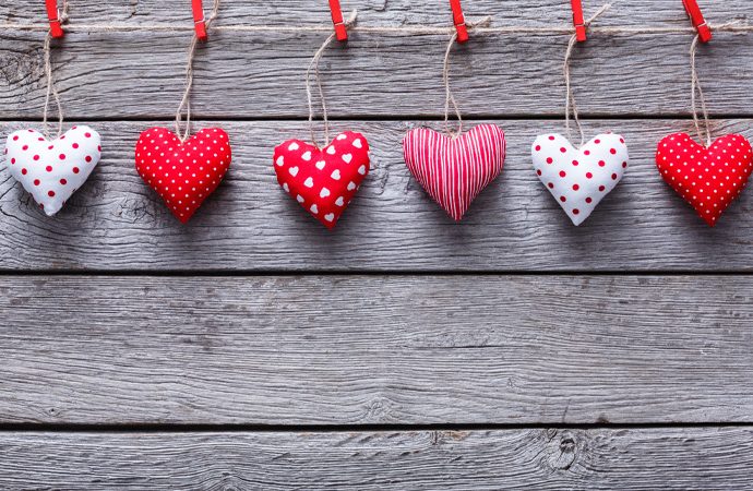 The Savvy Guide to February in Calgary - SavvyMom