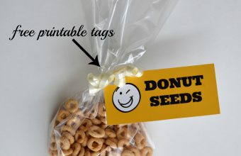 donut seeds_square