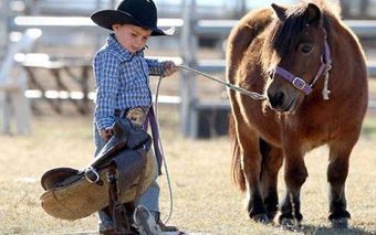 the_cutest_lil_cowbpy_ever_at_10_Great_Summer_Rodeos_and_Country_Fairs_in_Calgary