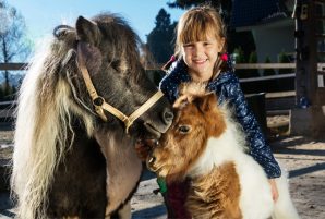 9 Spots in Toronto Where Kids Can Meet Animals