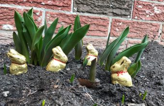 Tips for a Fun Easter Scavenger Hunt for All Ages