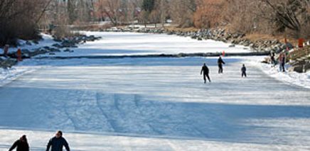 peinces_island_park_skating_image_of_topic
