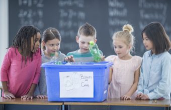 eco activities for kids