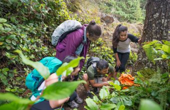 4 Family-Friendly Ways to Celebrate Earth Day