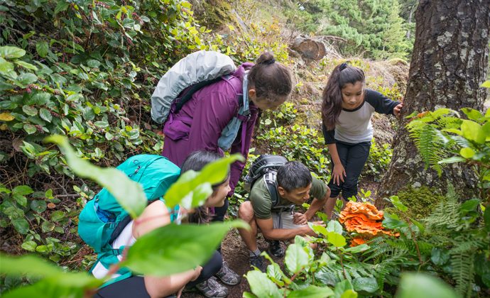 4 Family-Friendly Ways to Celebrate Earth Day